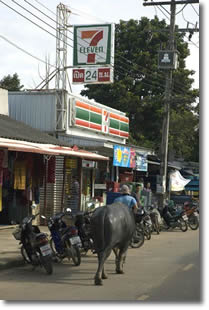 Ko Yao Noi