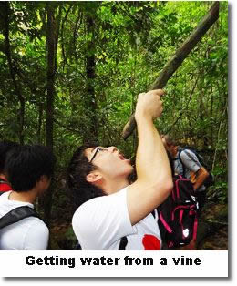 Survival skills training water vines